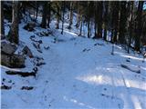 Planina Blato - Zadnji Vogel